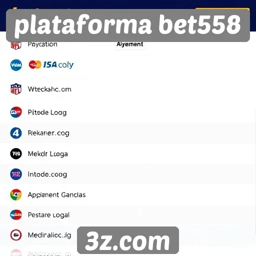Métodos de pagamento disponíveis no site bet558